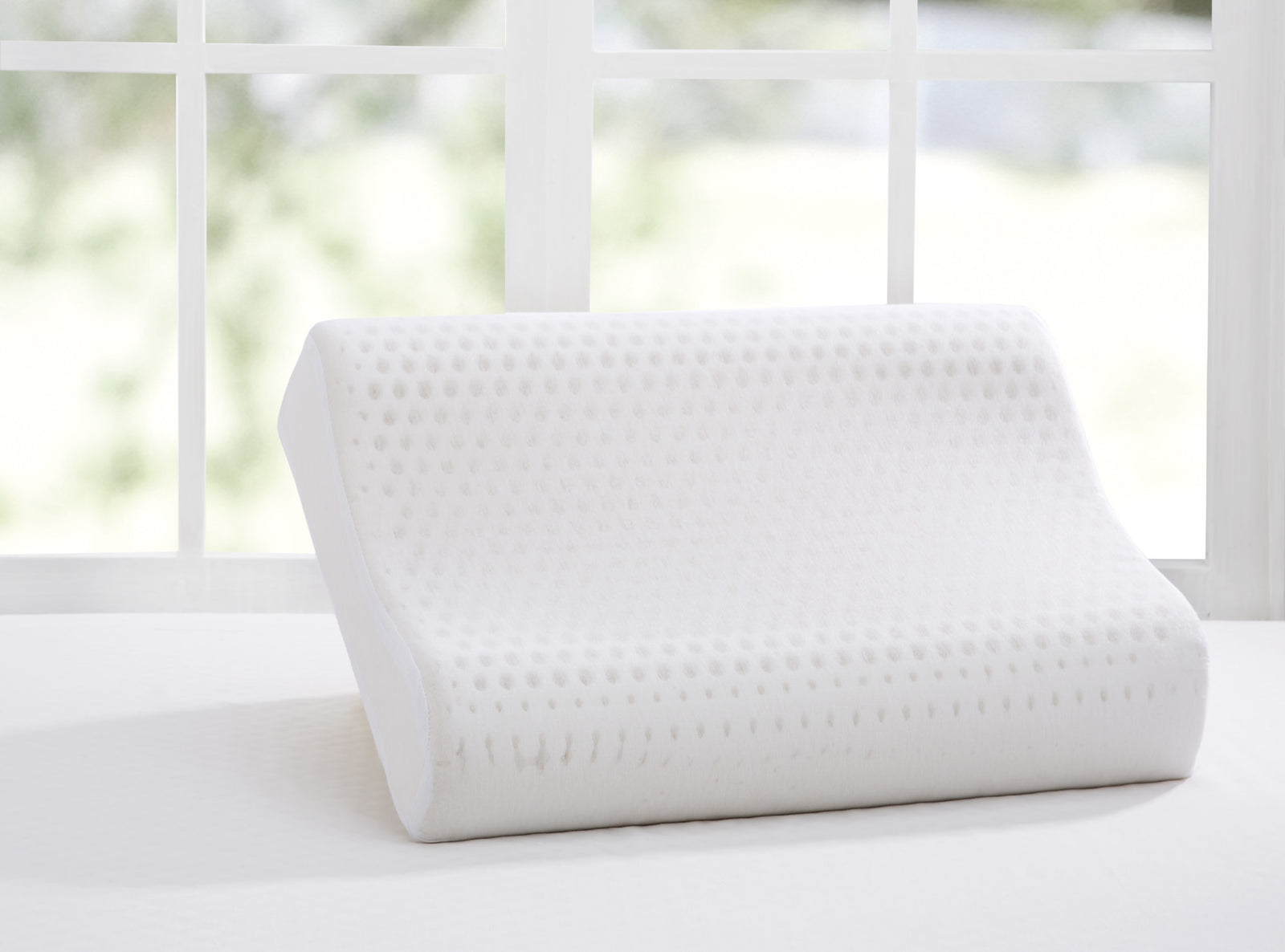 Latex Contour Pillow Cotton Cloud Futons